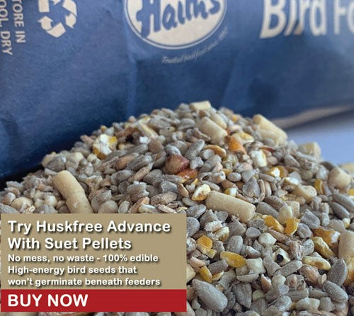 Imaghe of a pile of Huskfree bird food with pellets