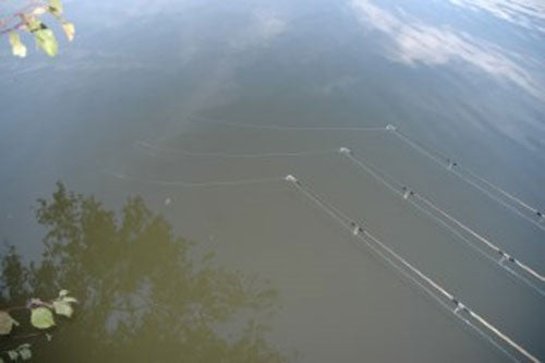 Photo of fishing rods stretching out into lake