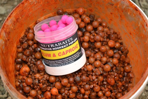 Combo of Plum with Caproic acid for fishing baits.