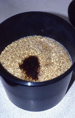 Image of a black bucket with soaked groats and boiling water