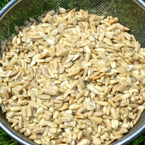 Sunflower hearts after being soaked.