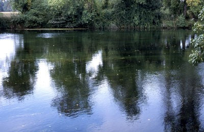 Image of a lake showing the reflection of trees on the opposite bank