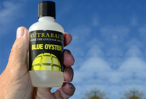 Photo of blue oyster attractor being held up in someones hand