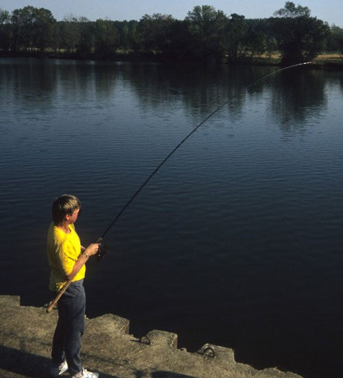 Image of a lady fishing on the lakeside