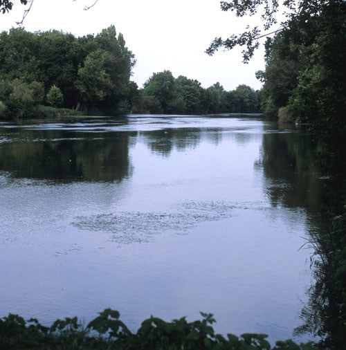 Image of a fishing lake