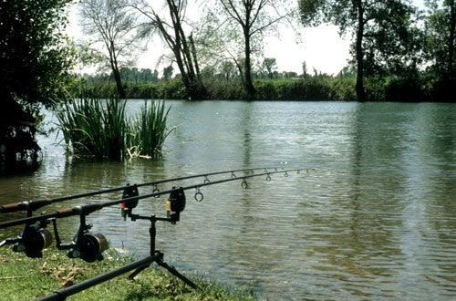 Image of  a fishing rod going into a lake
