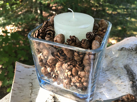 Pinecones in a vase