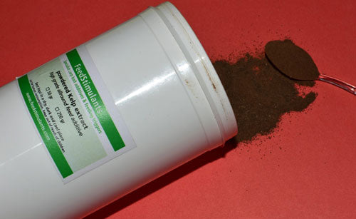 Powdered-Kelp-extract