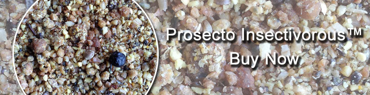 Prosecto Insectivorous