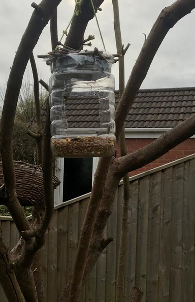 An image of Jack's recycled bird feeder he made.