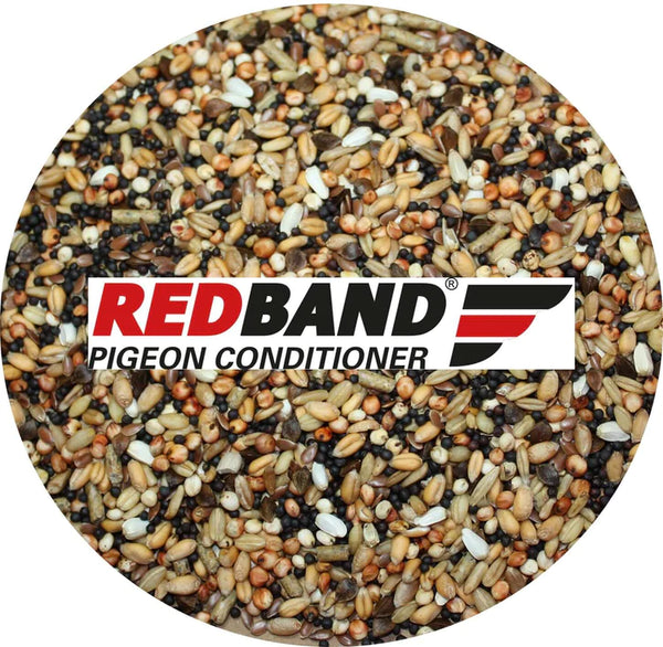 Red Band Pigeon Conditioner makes a great fishing bait!