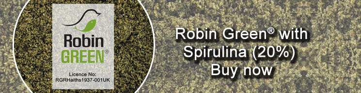 Robin Green with Spirulina