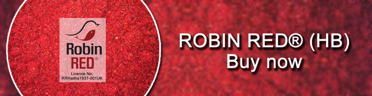 Robin Red Colour food for birds