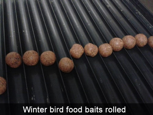 Round, rolled boilies in a row.