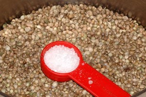 Salt on a red measuring spoon.