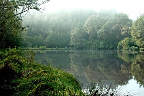 Still lake with slight mist over the trees ahead.