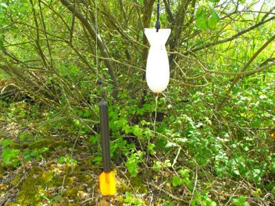 White spomb in front of woodland.