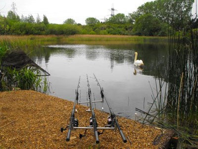 Fishing rods overlooking a still pond with a swan gliding along.