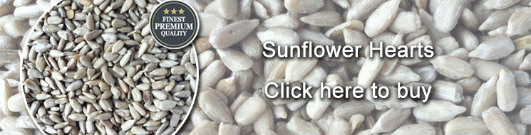 Sunflower Hearts