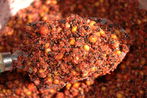 SuperRed-mixed-with-seeds-and-mini-maize