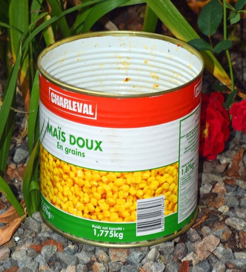 Tin of sweetcorn.