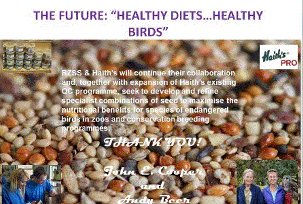 THE FUTURE HEALTHY DIETS HEALTHY BIRDS