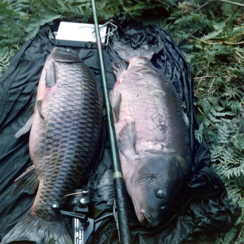 This-brace-is-off-the-biggest-mirror-and-the-biggest-common-at-the-time