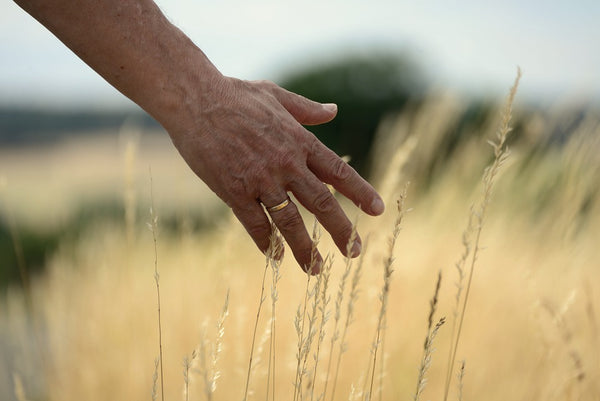 Touch Grass