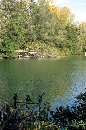 Tree-lines-carps-favourite-chill-out-areas