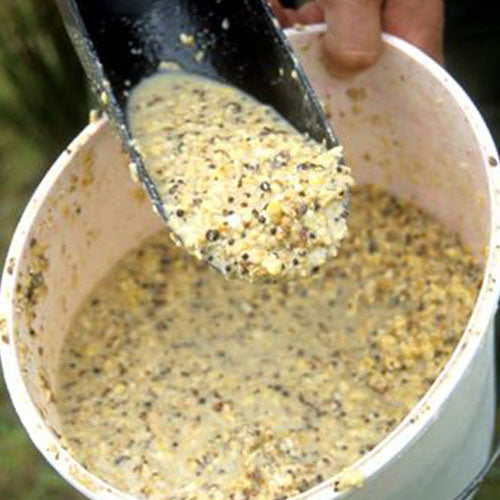 Try blending together equal parts of flaked maize, oat groats 