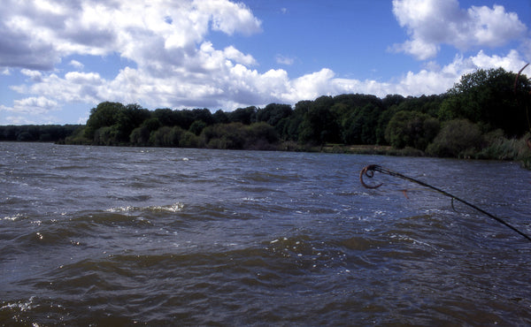 When you stand by the lake it will appear to be blue or grey but this is simply caused by reflected light