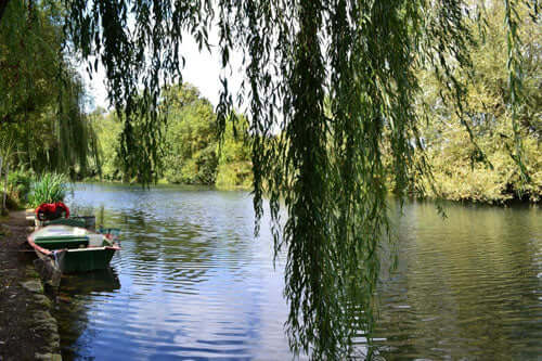 a-lovely-little-gite-on-the-banks-of-a-river