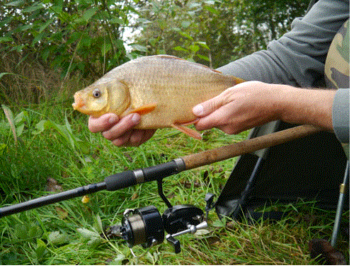 Ruby country in Devonshire for fishing