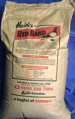 Red band pigeon Conditioner for fishing