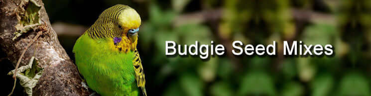 /collections/budgie-seed