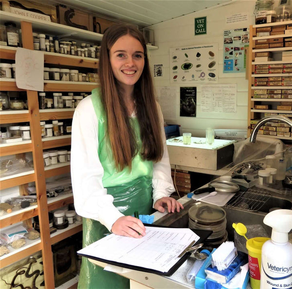 Figure 2. Ella working in the laboratory 