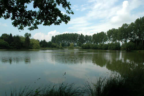 fishing-lake-with-lily-pads