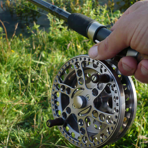 Adam's tench tips  Haith's fishing bait blog