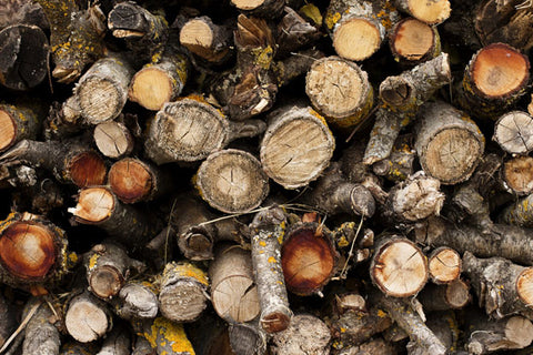 Log Piles for Insects