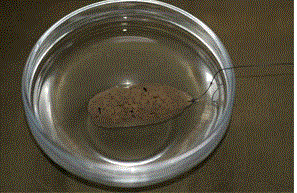 The paste bait placed in a bowl of water