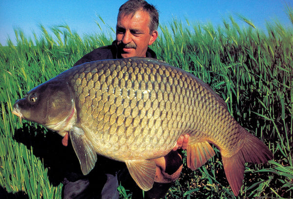 Photograph of fisherman stood in tall reeds holding large carp that he has caught