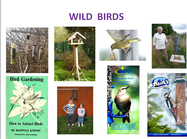 Haiths specialises in bird food and used in zoos
