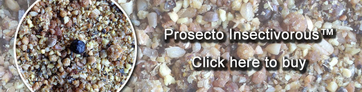 Click to buy Prosecto Insectivorous