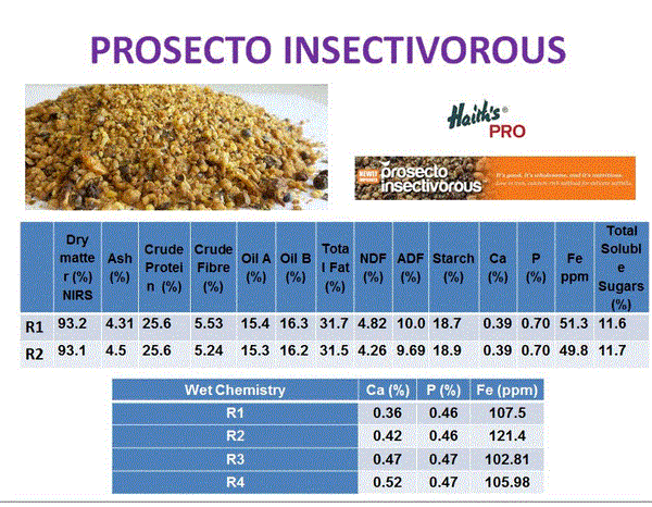 Prosecto Insectivorous softfood