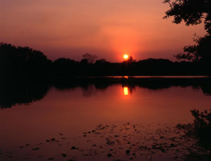 scene-of-many-happy-hours-spend-simply-watching-carp