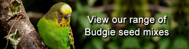 View our budgie seed range