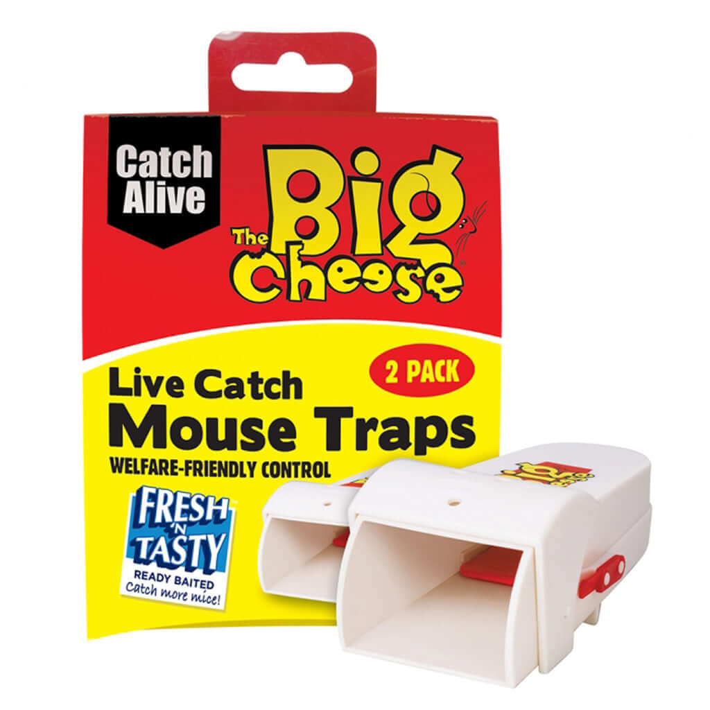 Mouse catch