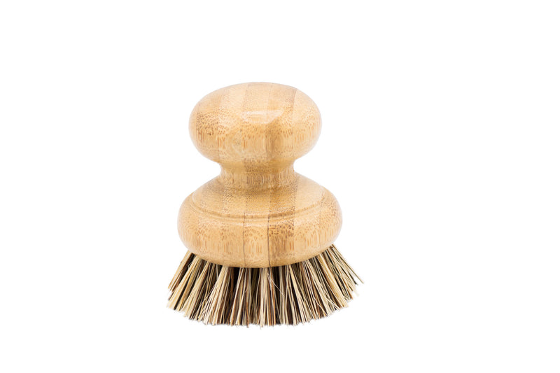 CASA AGAVE® Dish Brush – NO TOX LIFE