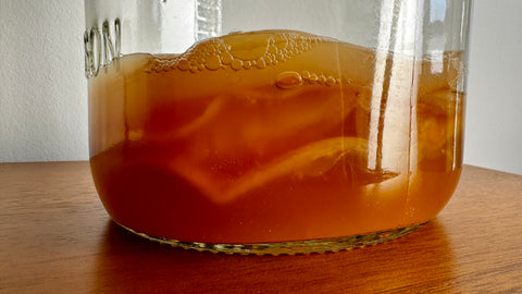 Close-up of the SCOBYs