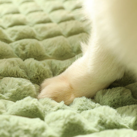 Cama Pet Almofada™ |  Para Cachorro - Loja de Cãoveniências